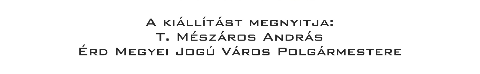 2 bonsai es suiseki mustra bonsaj es suiseki kiallitas meghivo